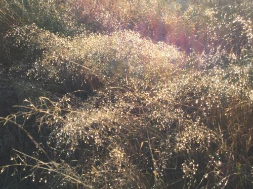 Apartamento Het Achterhuis