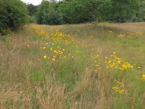 Apartamento Het Achterhuis