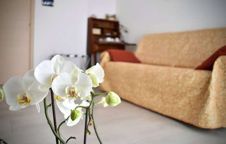 B&B A Muntagna