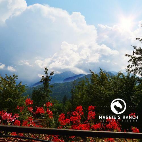 Hostal Maggie's Ranch