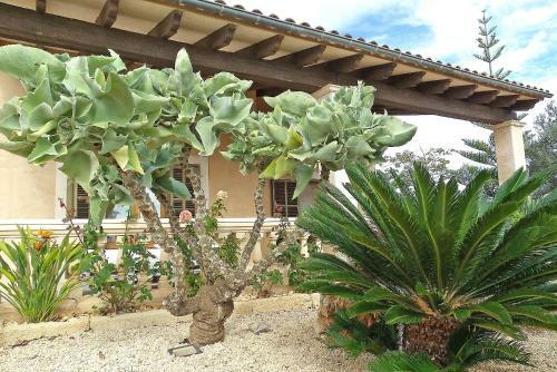 Villa La Torre
