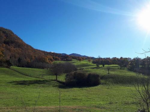 Bed & Breakfast Il Gelso Room&breakfast