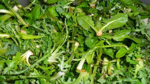 Bed & Breakfast Locanda Stella