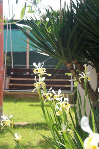 Hostal Sogni D'oro