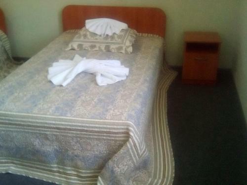Hotel Vershnyk