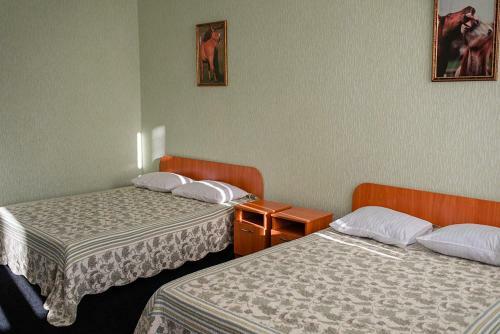 Hotel Vershnyk