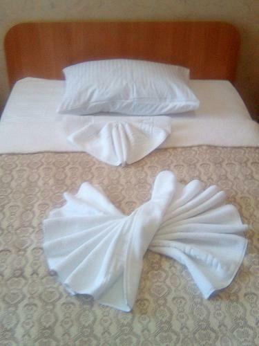 Hotel Vershnyk
