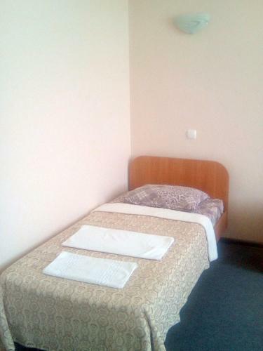Hotel Vershnyk