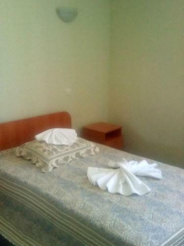 Hotel Vershnyk