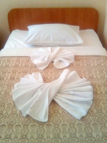 Hotel Vershnyk