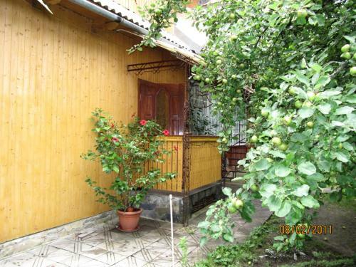 Hostal Guesthouse U Deda Viktora