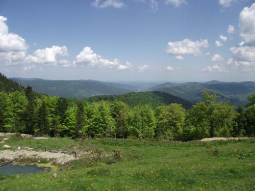 Hostal Guesthouse U Deda Viktora