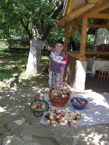 Hostal Guesthouse U Deda Viktora