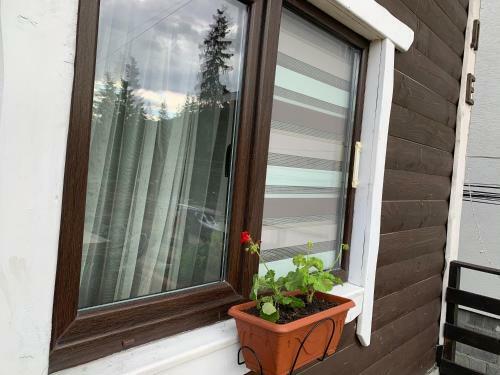 Holiday Home Shale