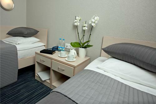 Hotel Air Express Sheremetyevo