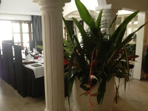 Hostal La Villa Des F�es