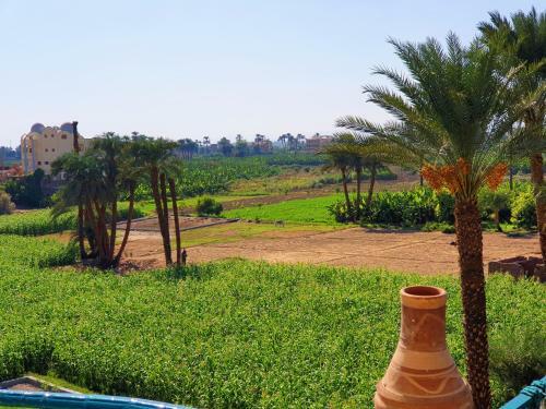 Farida Apartments