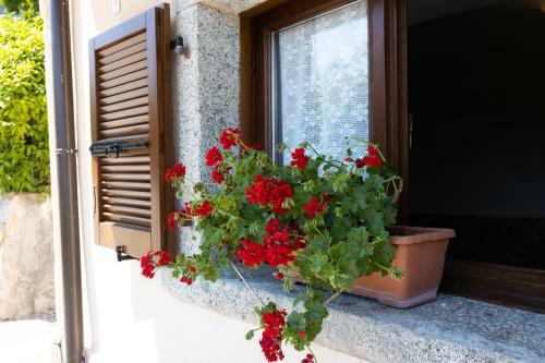 Apartamento Antica Corte Ginevra