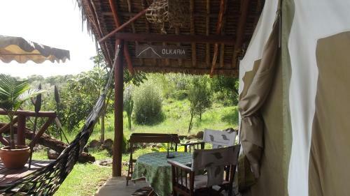 Buffalo's Rest