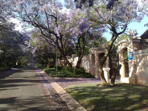 Bed & Breakfast Ash Manor Guesthouse