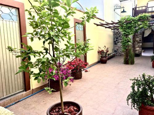 Apartamento Privada 400