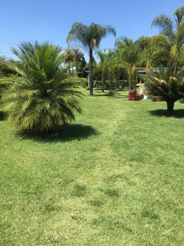 Parque Hotel Holambra