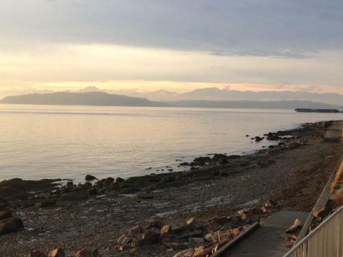 Magpie On Alki