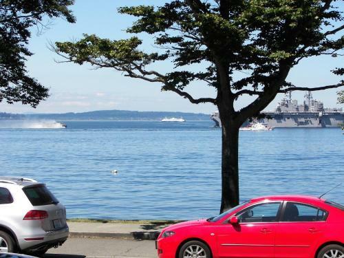 Magpie On Alki