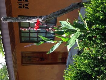 Hotel Mar Y Sol Ecotel