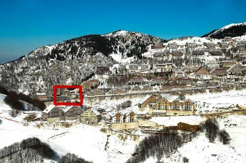 Apartamento Mirtilli
