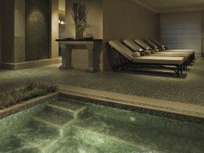 Hotel Ritz-carlton