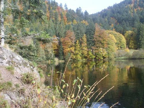Chalet Retournemer
