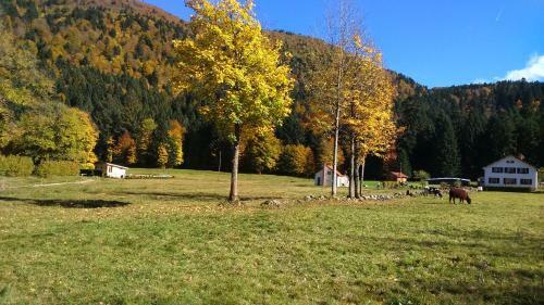 Chalet Retournemer