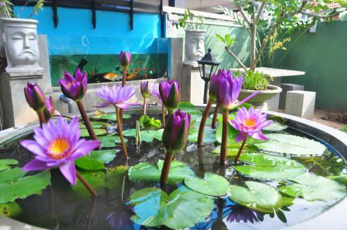 Bed & Breakfast Villa Aroshina