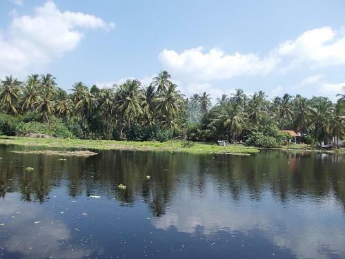 Sri Beach Bungalows And Villa