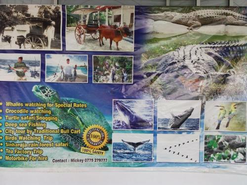 Hostal Sayuri Beach Hotel