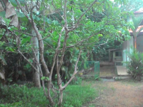 Francis Kandamby Mawatha