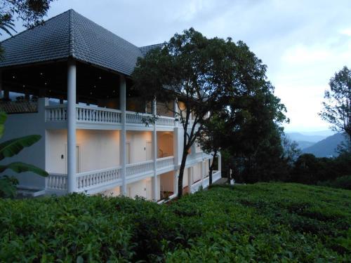 Hotel Tea Harvester