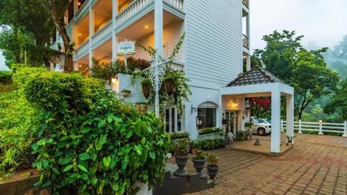 Hotel Tea Harvester