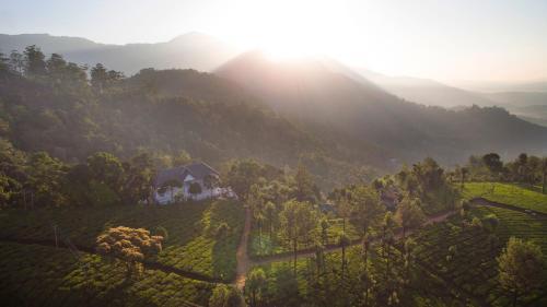 Hotel Tea Harvester