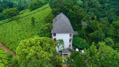 Hotel Tea Harvester
