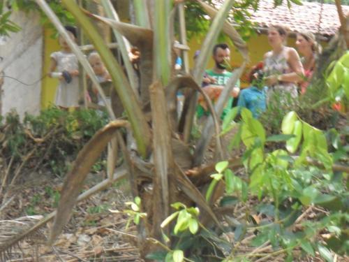 Lavendra Villa Mirissa