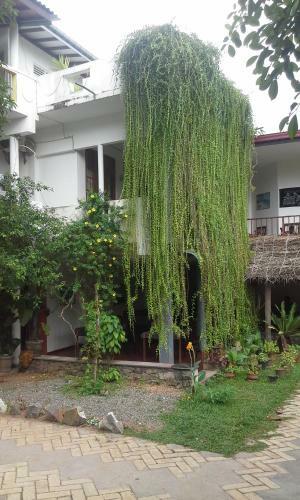 Hostal Mount Garden Guesthouse