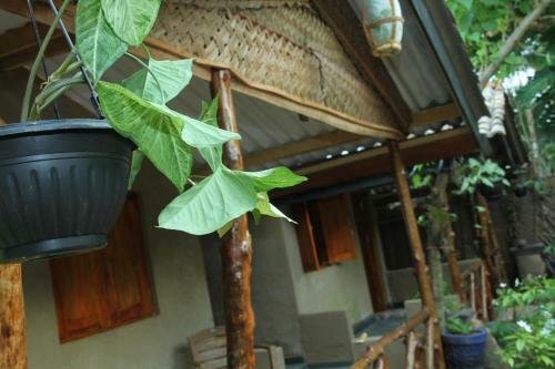 Hostal Sandaru Cabanas