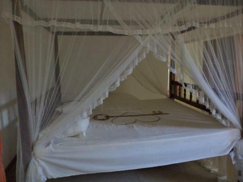 Bed & Breakfast Celestial Inn