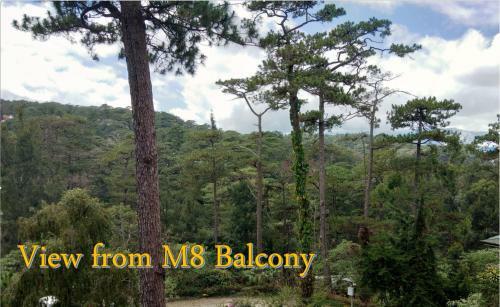 Safari Lodge Baguio By Log Cabin Hotel