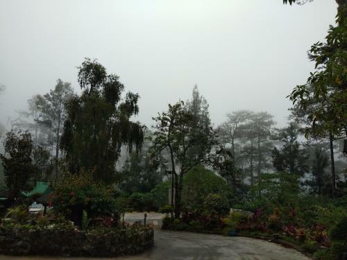 Safari Lodge Baguio By Log Cabin Hotel