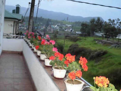 Bed & Breakfast Maples Holiday Resort