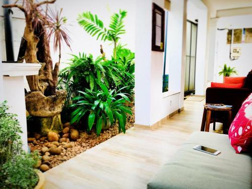 Hostal Hotel Dorset