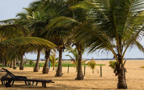 Hostal Alexandra Family Villa